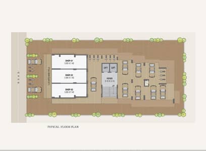 Basement Plan